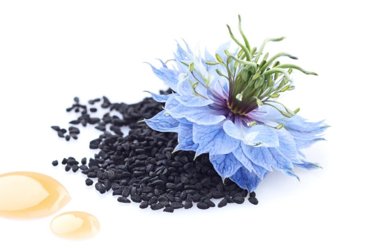 Ekstrak Biji Hitam (Sperm Nigella Sativa)